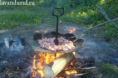 Тарелка для барбекю