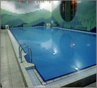 бассейн это искусственный водоем #15