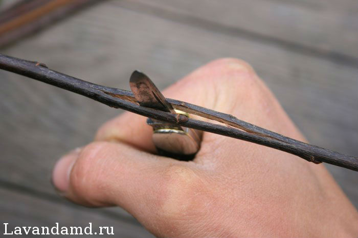 Как сделать корзинку своими руками Как сделать корзинку своими руками